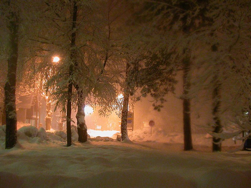 Winter in Bohinj, Slovenia - 06 - Snow Falling.JPG